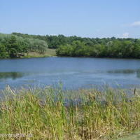 Дом в Болгарии, Бургасская область, Елените