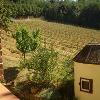 Other in Italy, Pienza