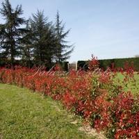 Villa in Italy, Giano dell'Umbria