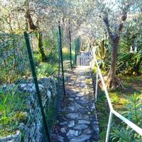 Villa in Italy, San Donnino