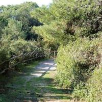 Вилла в Италии, Пьенца, 330 кв.м.