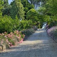 Вилла в Италии, Джано-дель-Умбрия