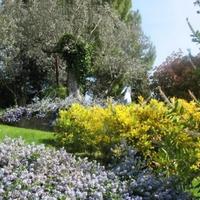 Дом в Италии, Джано-дель-Умбрия, 340 кв.м.