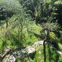 Villa in Italy, San Donnino