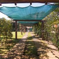 Вилла в центре города в Италии, Пиза, 300 кв.м.