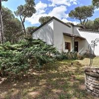 Вилла в Италии, Пиза, 540 кв.м.