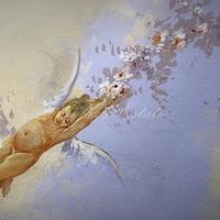 Villa in Italy, Venice