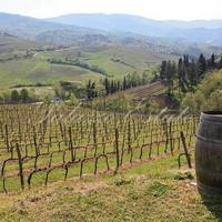 Дом в Италии, Пьенца