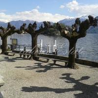 Hotel in the city center, at the first line of the sea / lake in Italy, Lombardia, Varese, 875 sq.m.