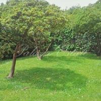 Вилла на первой линии моря/озера в Италии, Пиза, 700 кв.м.