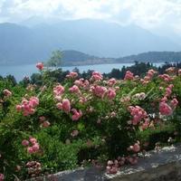 Вилла в Италии, Варезе, 400 кв.м.