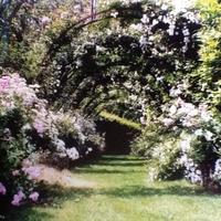 Villa in Italy, Pienza