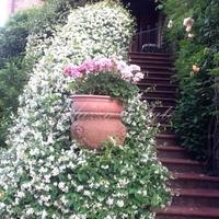 Villa in Italy, Pienza