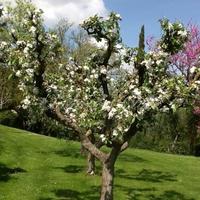 Villa in Italy, Pienza