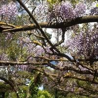 Villa in Italy, Pienza