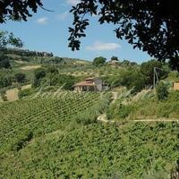 Other in Italy, Pienza, 2206 sq.m.