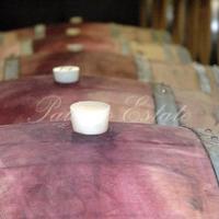 Other in Italy, Pienza, 2206 sq.m.