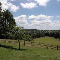 Villa in Italy, Pienza, 640 sq.m.