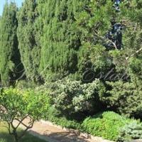 Villa in Italy, Pienza