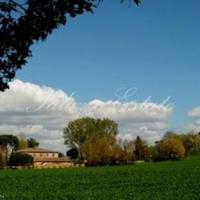 Other in Italy, Pienza