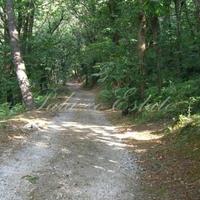 Вилла в Италии, Пиза