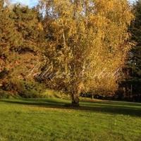 Дом в Италии, Варезе, 520 кв.м.