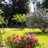 Villa in Italy, Pisa