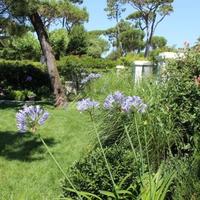 Вилла в Италии, Пиза