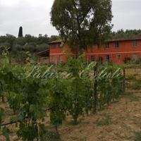 Villa in Italy, Pisa