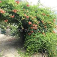 Вилла в Италии, Варезе, 300 кв.м.