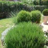 Villa in Italy, Pisa, 170 sq.m.