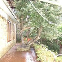 Villa in Italy, Pienza