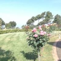 Villa in Italy, Pisa, 500 sq.m.