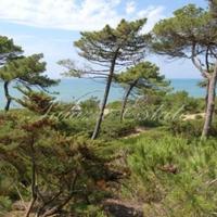 Villa in the city center in Italy, Pienza, 380 sq.m.