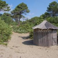 Villa in the city center in Italy, Pienza, 380 sq.m.