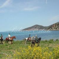 Villa in the city center in Italy, Pienza, 380 sq.m.