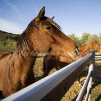 Вилла в Италии, Пьенца