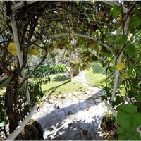 Villa in Italy, Ventimiglia, 1000 sq.m.