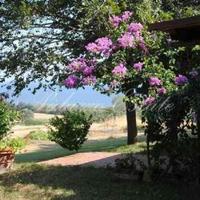 Villa in Italy, Venice, 590 sq.m.