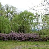 Другое в Италии, Ломбардия, Варезе, 800 кв.м.