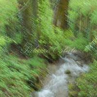 Другое в Италии, Ломбардия, Варезе, 800 кв.м.