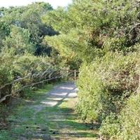 Villa at the first line of the sea / lake in Italy, Pienza, 650 sq.m.