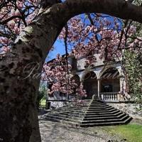 Villa in Italy, Venice, 3534 sq.m.