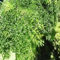 Вилла в Италии, Варезе, 280 кв.м.