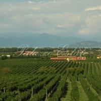 Villa in Italy, Venice, 800 sq.m.