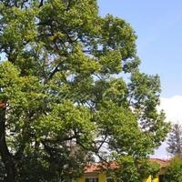 Villa in Italy, Lombardia, Varese