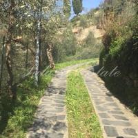 Other in Italy, San Donnino