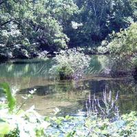 Other in Italy, Varese