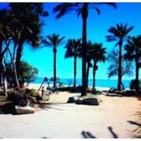 Flat in Spain, Catalunya, Cambrils, 130 sq.m.