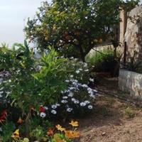 Таунхаус в Испании, Каталония, Жирона, 74 кв.м.